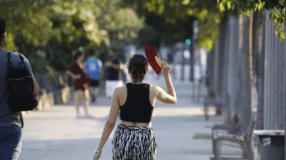 🚫 ¿Se acabó la carrera de Chaqueño por defender a Milei?