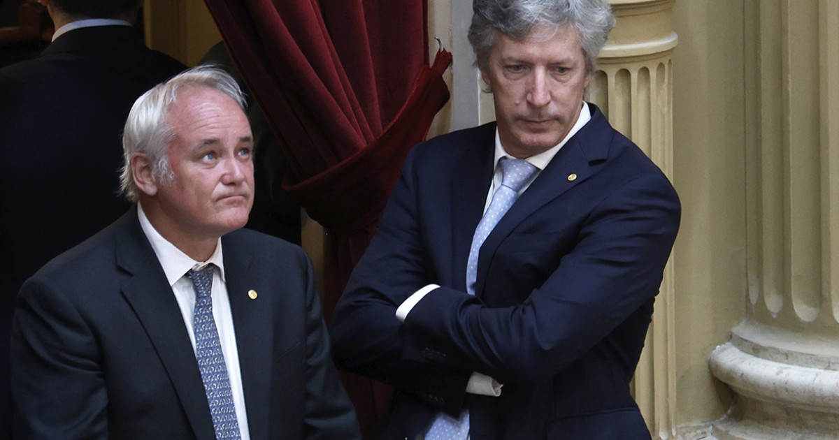 ¿Vas a perder tu peso pesado si el dólar se descontrola? 🚩...