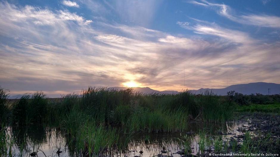 🚨 ¿La IA ya Denunció a la IA?