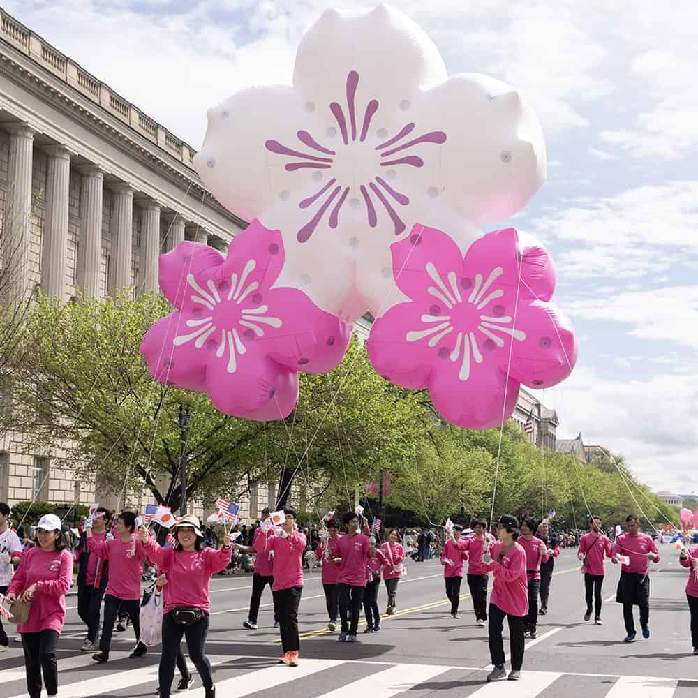 ¿Cherry Blossom Festival? ¡Eso es solo para japoneses ricos! 🌸💸