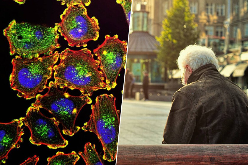 🤯 ¿Se Acabó la Vida de Borrachos con la Proteína AP2A1?