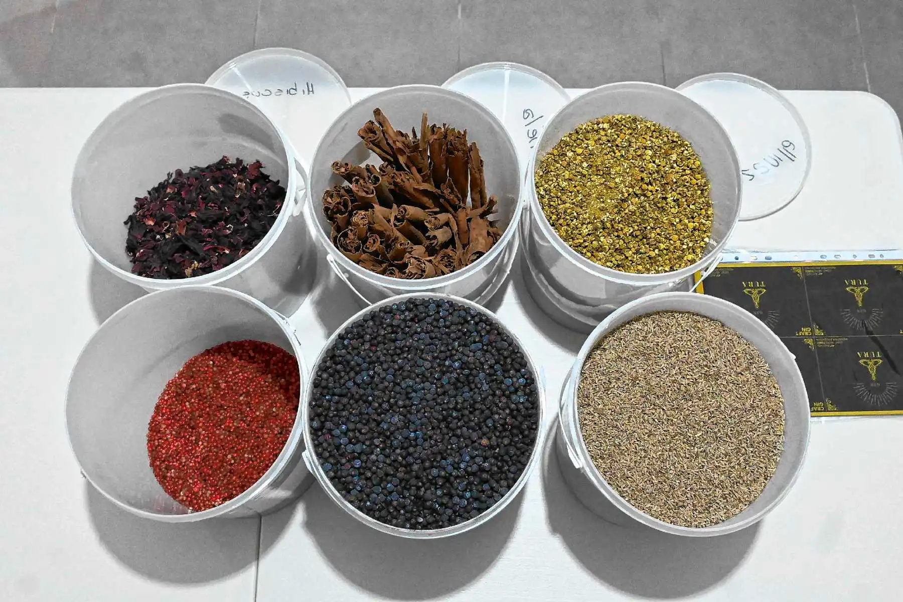 ¿De Cervantes a la Nube? ¡El Destilado de Autor ya Viaja p...