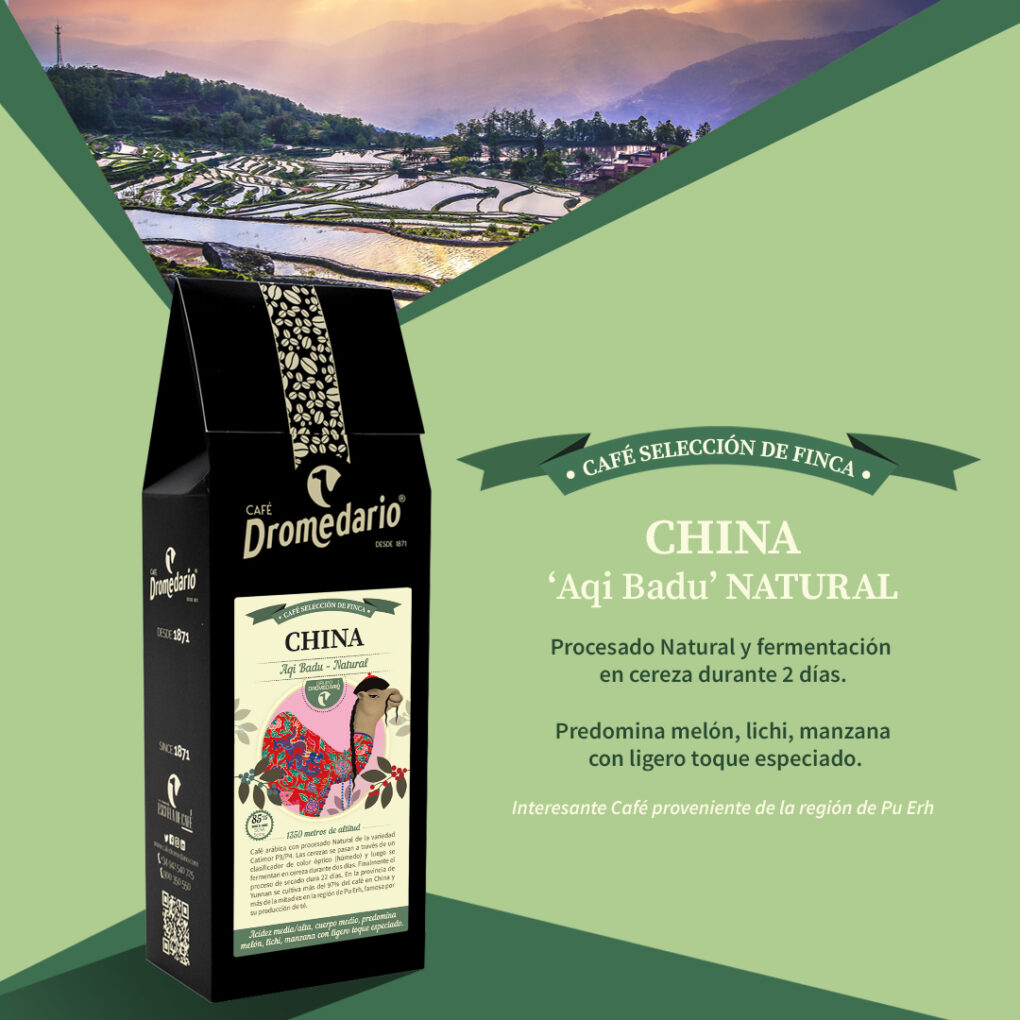 Fin de mes más que animado 🎉: ¿Conciertos y teatro o solo un d...