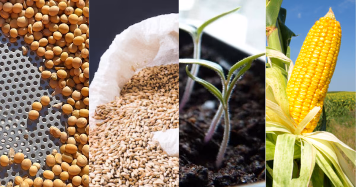 ¿La Argentina es la Campeona de Costos para Producir Granos? 🌽️