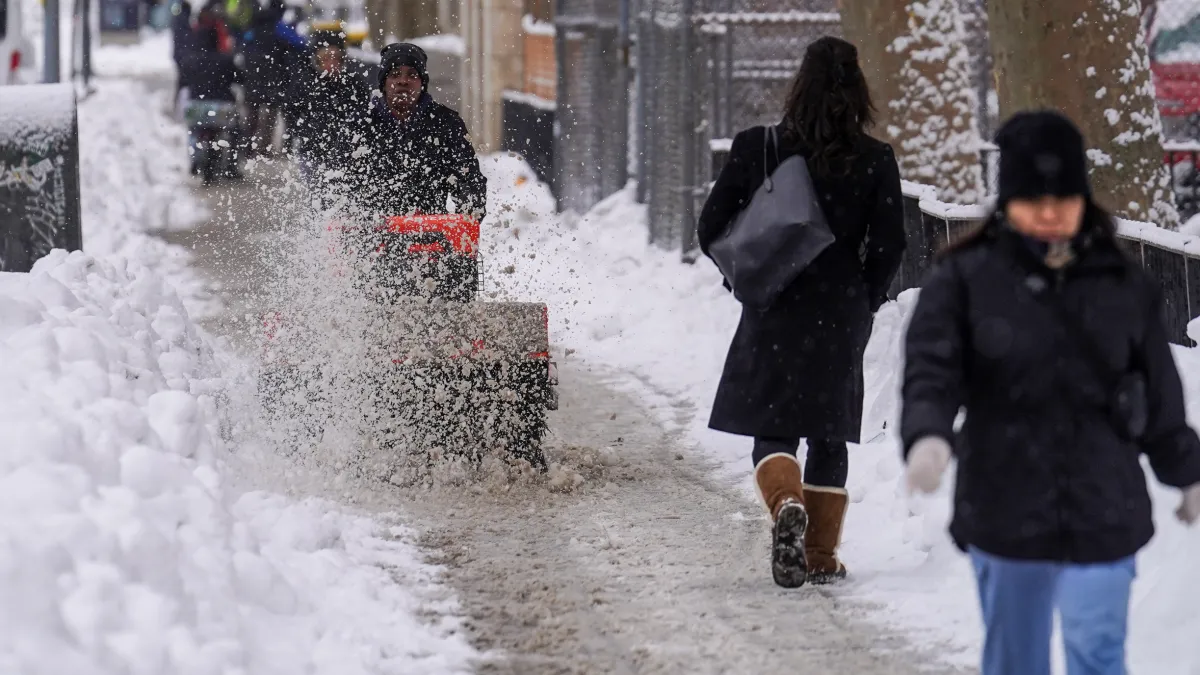 ¡Alerta Neurólogos! 🌨️ ¿Nieve en NYC? ¡Esto es un Juego de Tro...