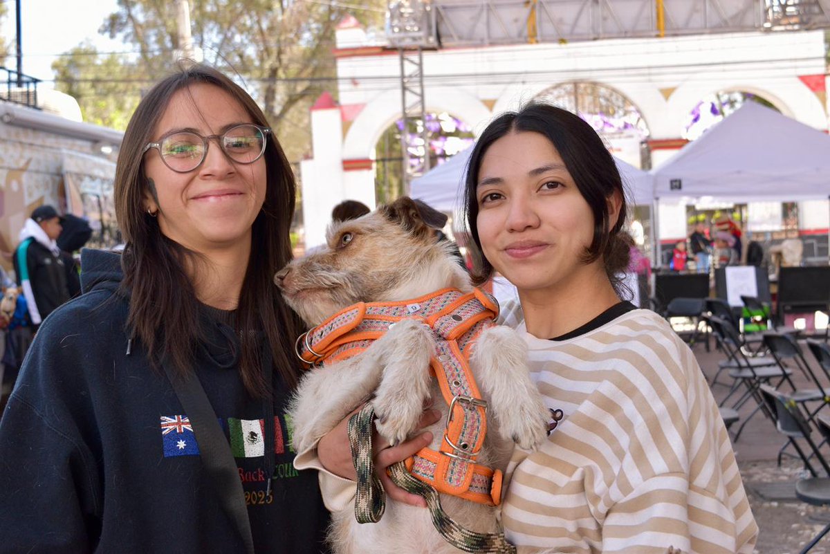 🚨 CERA vs. Sobrepoblación: ¿La Nueva Fórmula para Salvar al Ed...