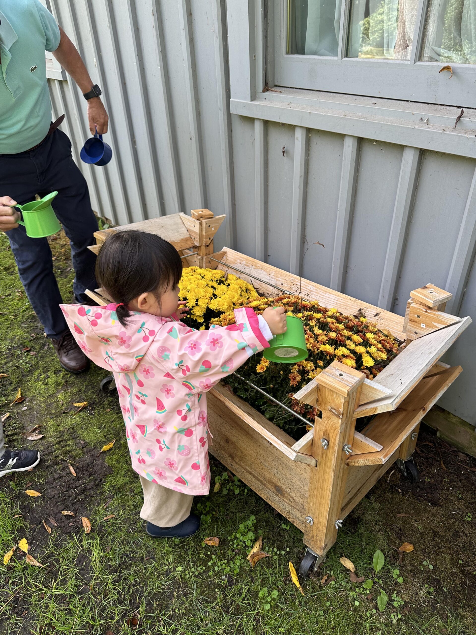🌱 ¿Los Pequeños Jardines de Westbury son el Futuro del Jardine...