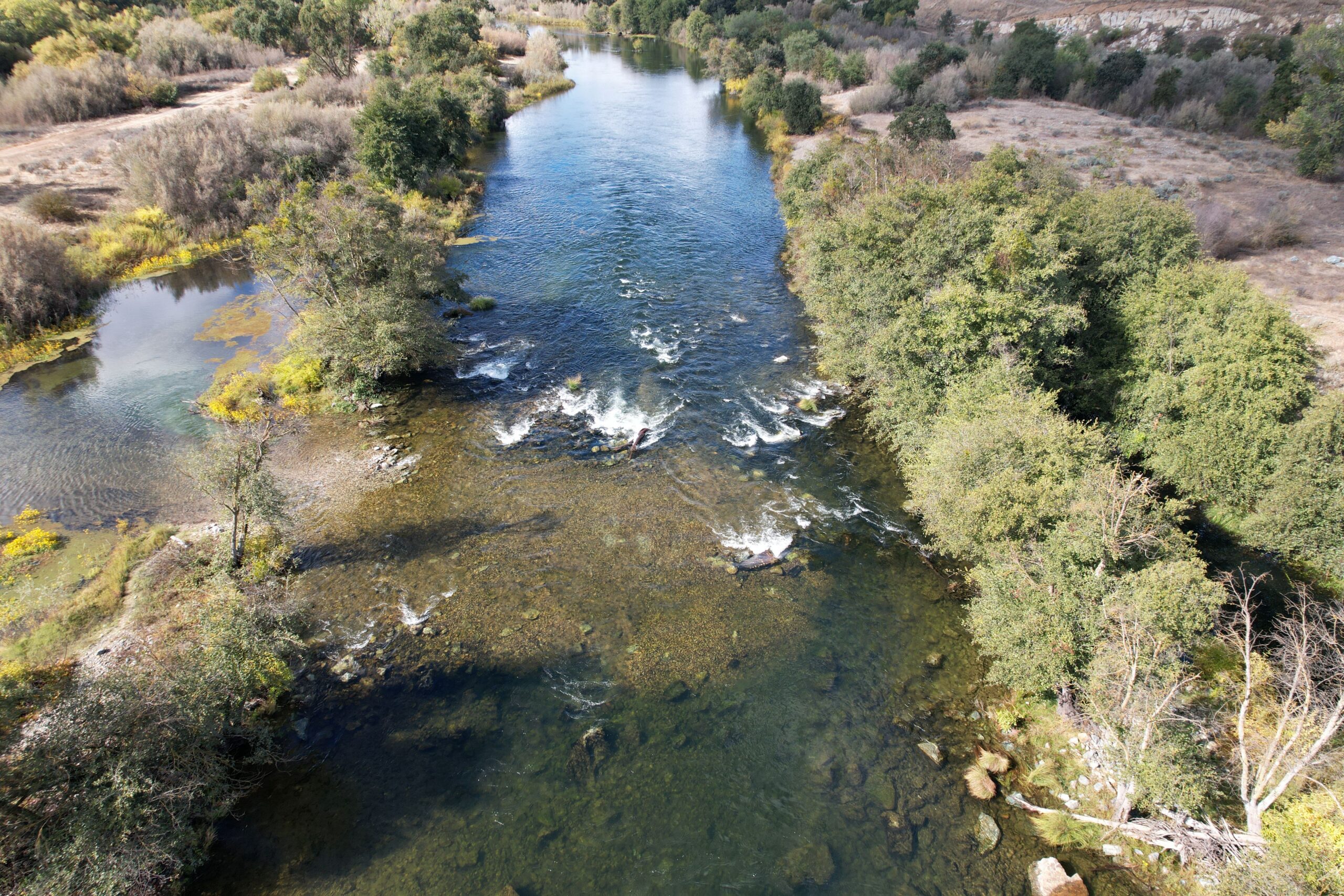 ¡Ay, Cero Biodiversidad! ¿$60 millones para California es sufi...