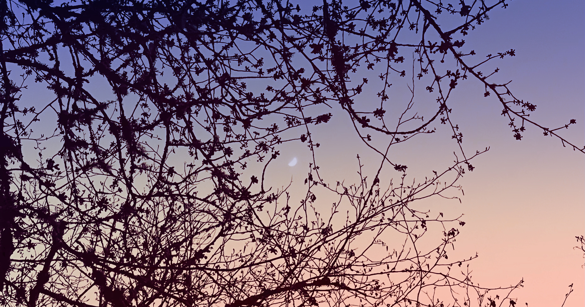 ¿La Poesía Te Hará Más Inteligente o Solo Es Una Excusa p...