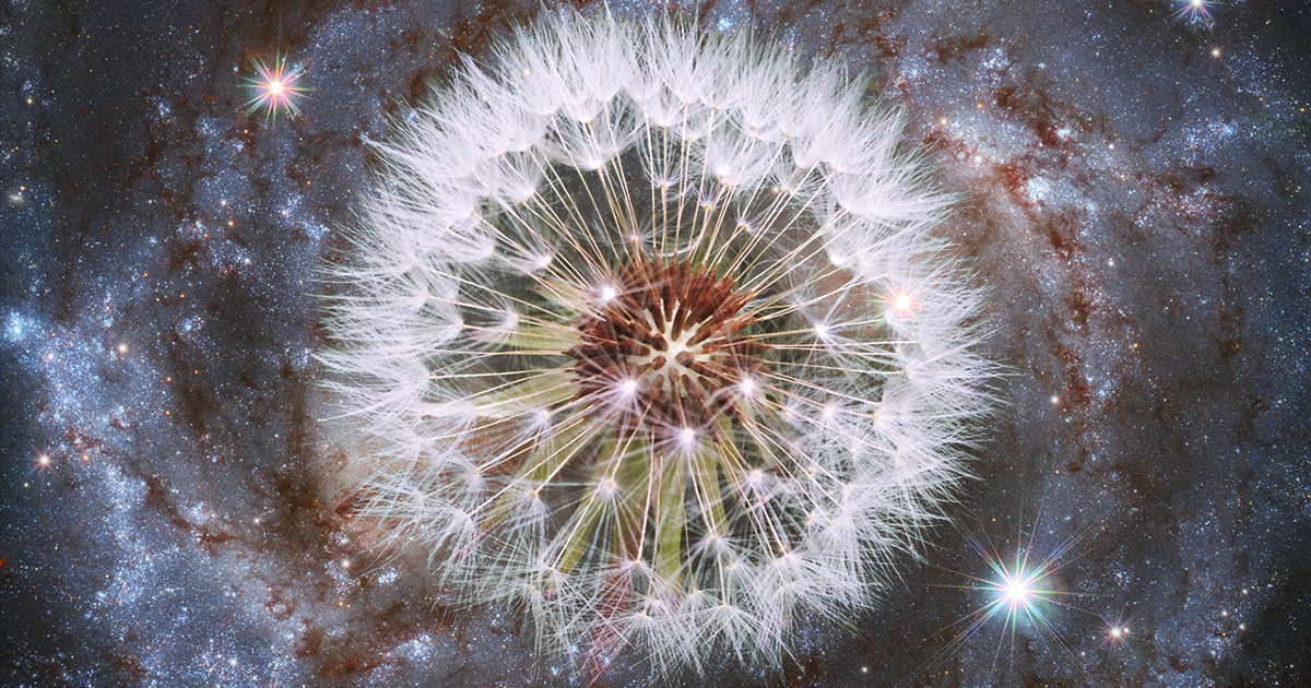 ¿Estás Preparado para la Constelación de Riesgos Cibernéti...