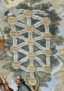 ¿Puedes Distinguir a la Inteligencia Artificial del Dueño ...