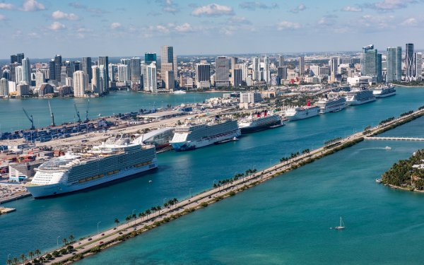 🌴 Miami: ¿Isleños en la Playa o en la Jaula?