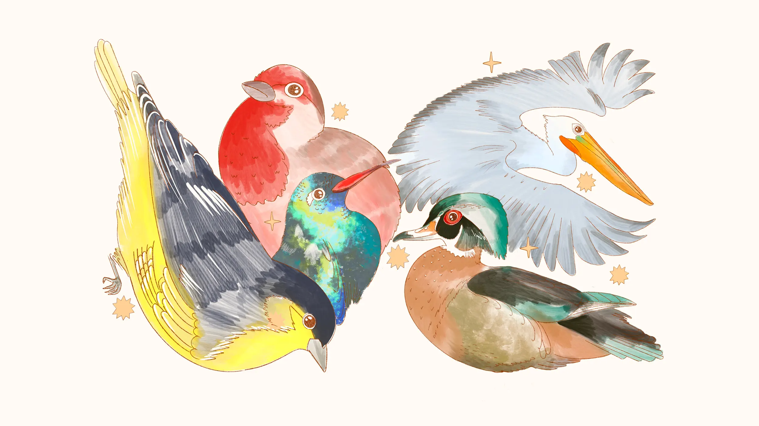 🐦 ¿La CDMX es el Paraíso para las Palomas o para los Desperdic...