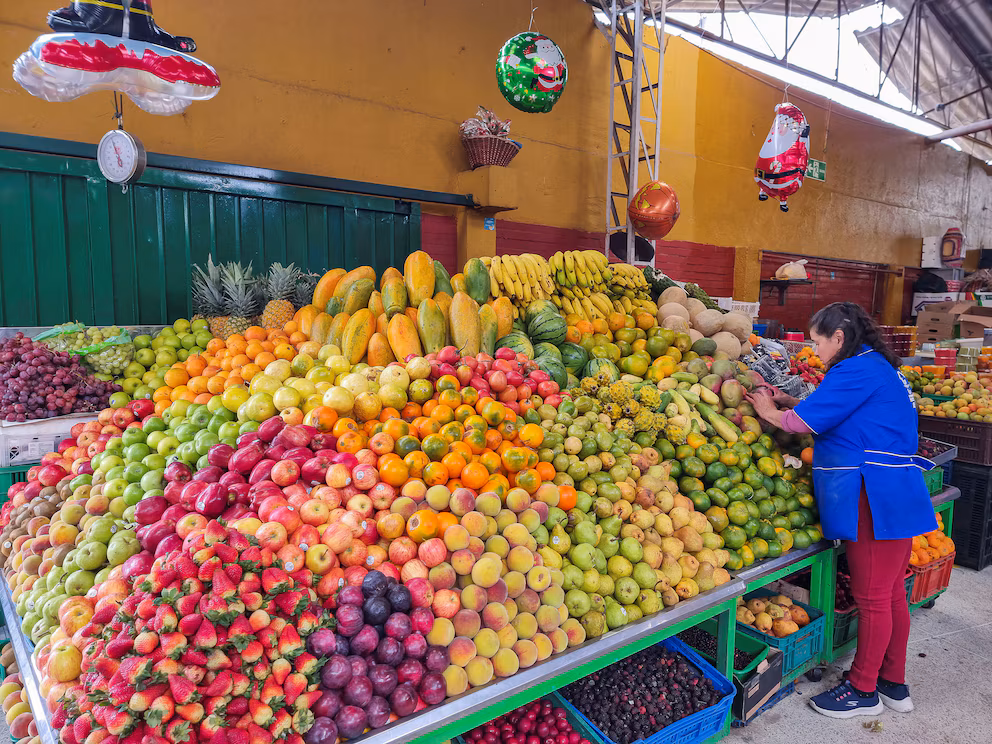 ¡La pobreza es solo un recuerdo! 🏠¿Cómo vivir en Colombia sin ...