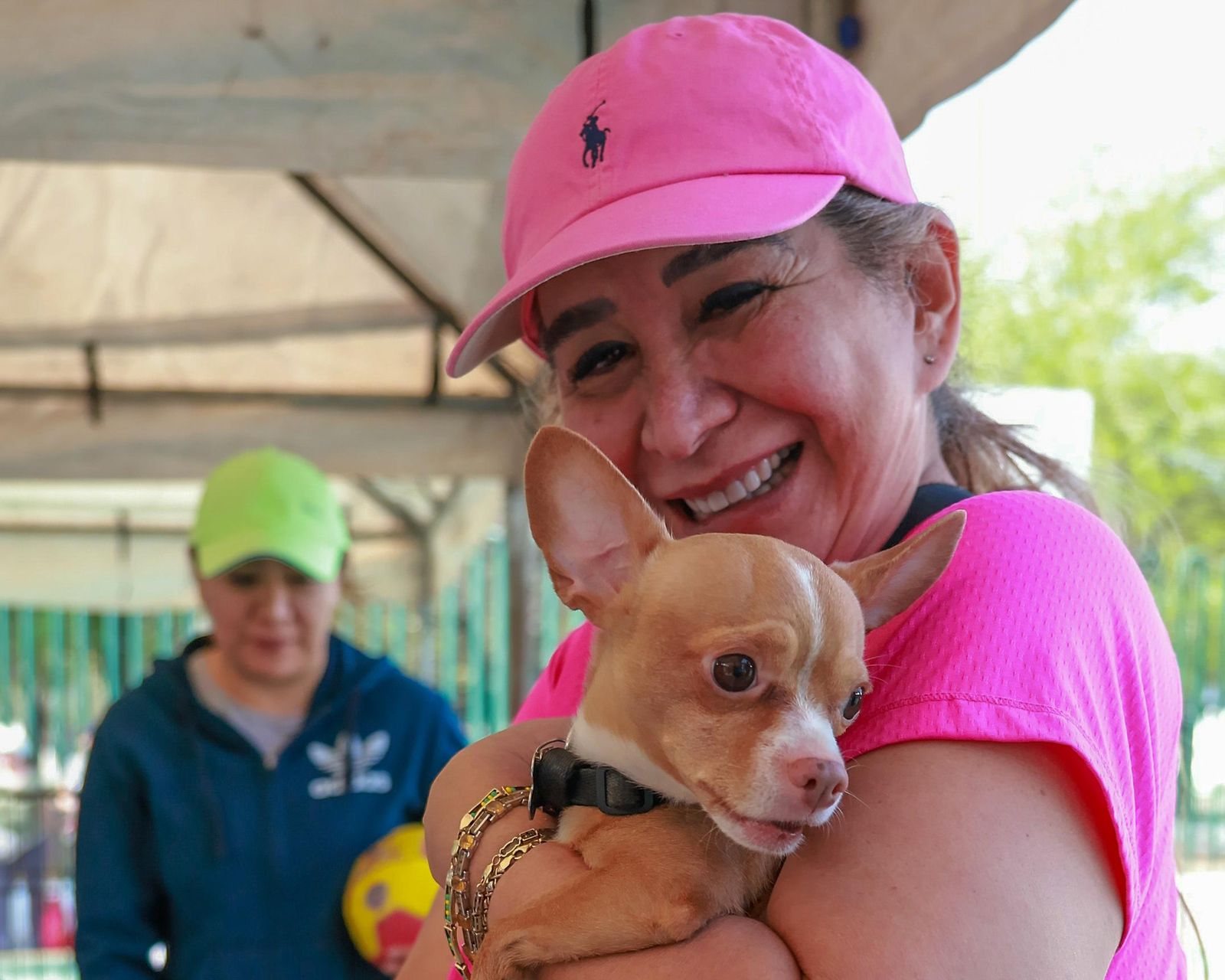 🐶 ¿El bienestar animal en Monterrey es solo un mito?