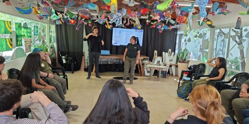 ¿Se Entienden las Sillas de Ruedas en Córdoba si No Se Hab...