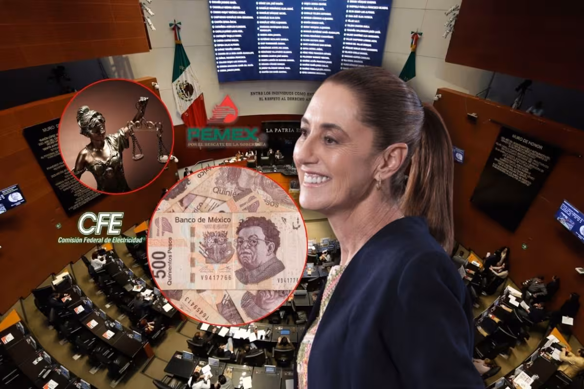 🚨 ¿Amnistía para Pemex y CFE? Abogado advierte que Sheinbaums ...