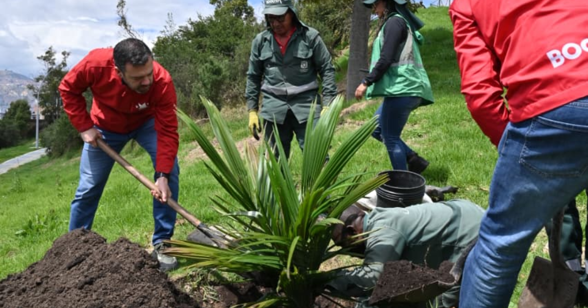 💥 ¿El Parque Santa Lucía ya está listo?