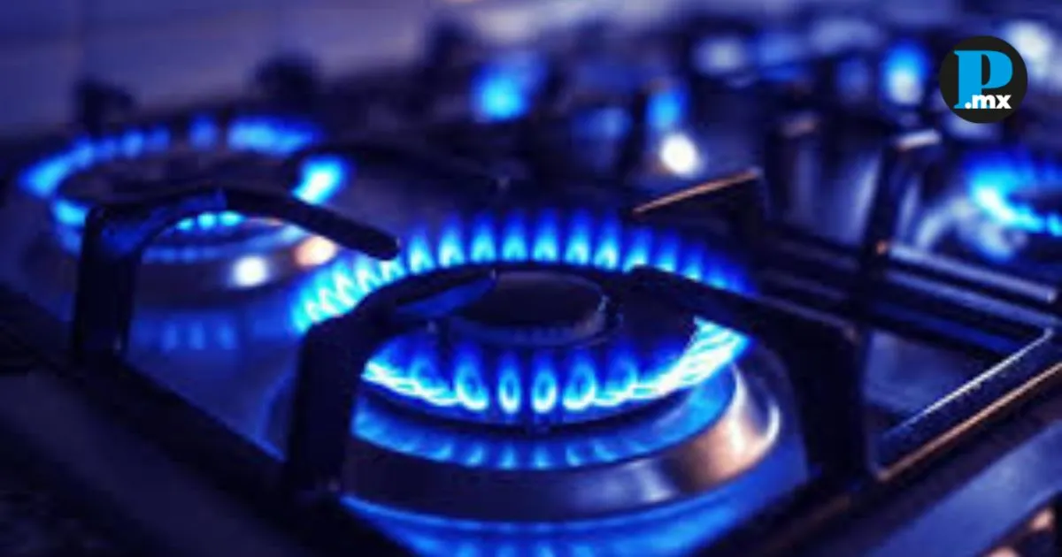 ¿El LP te está robando el bolsillo? 🚨 Precios de gas LP en...