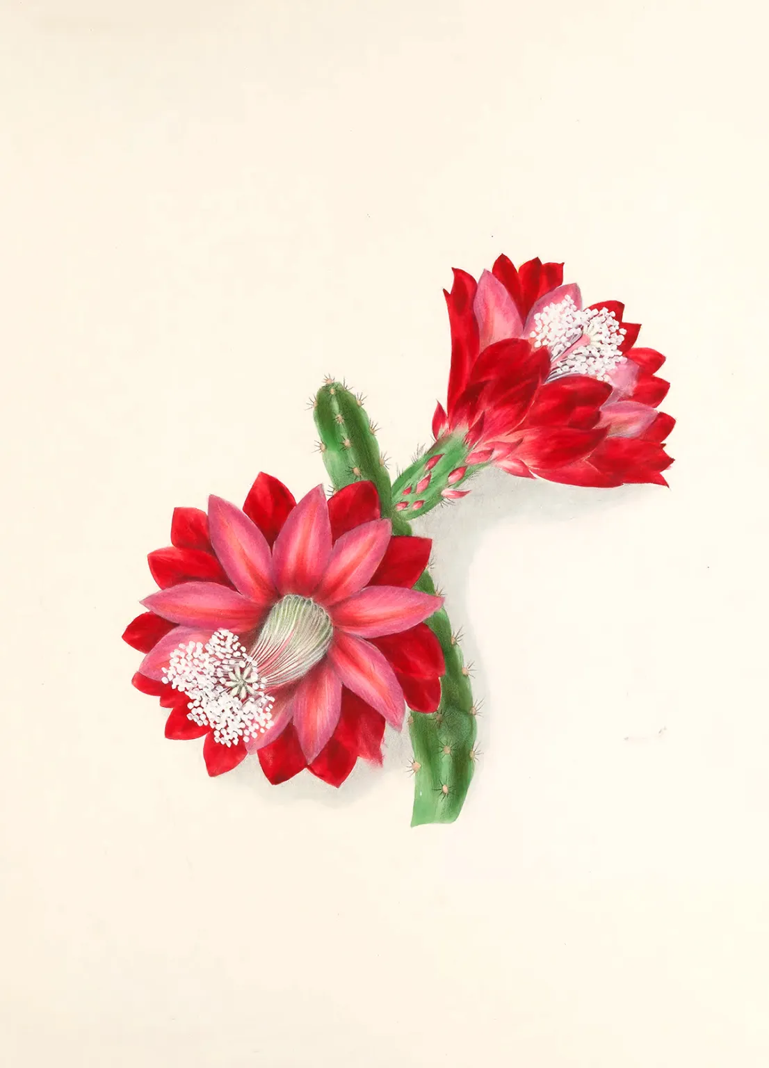 ¿Perdemos la cabeza buscando la inmutabilidad en el caos? 🤯