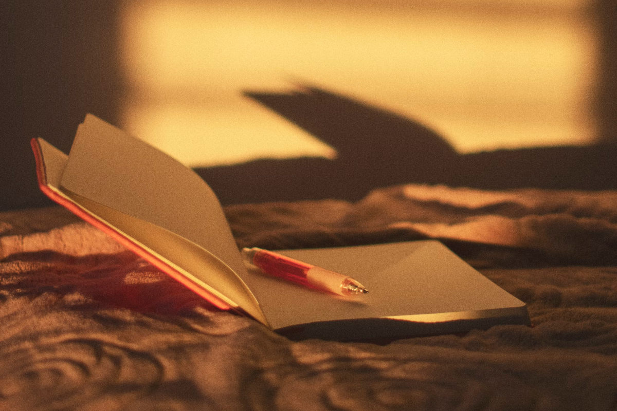 📝 ¿Tus notas están más organizadas que tu vida?