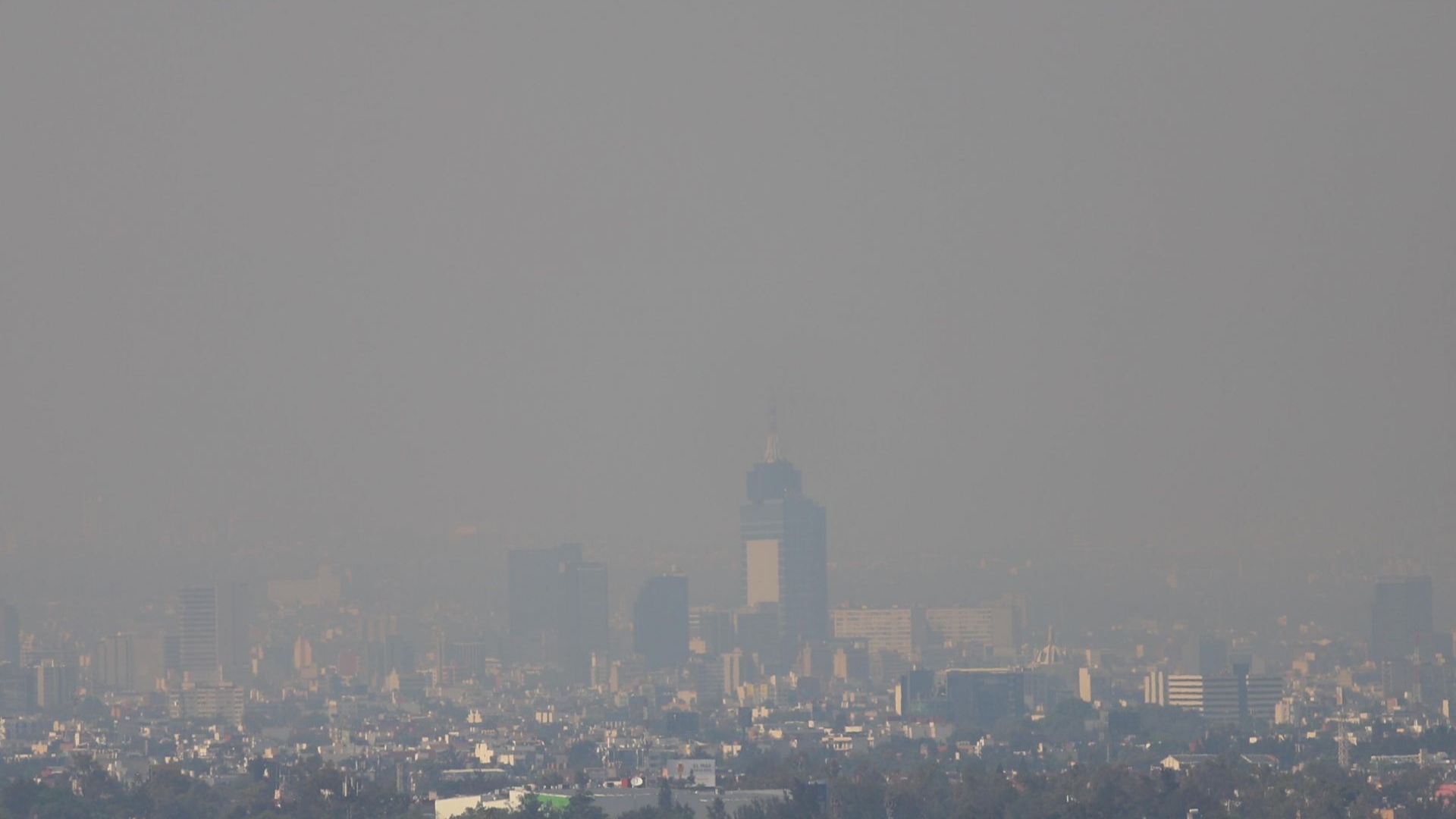 🌫️ ¿El Doble Hoy No Circula? ¡Ya se Siente!