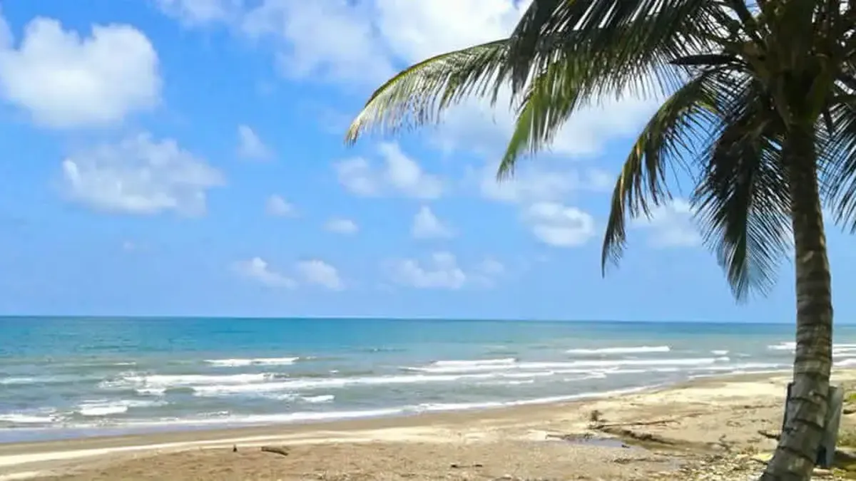 😎 ¿Por qué a todos les toca Veracruz en marzo y no a mí?