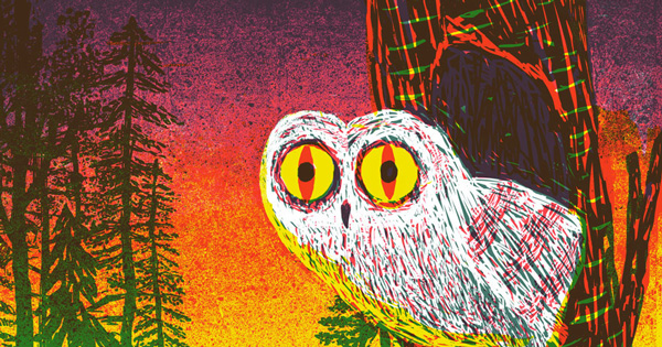 🌃 ¿La Noche es el Verdadero Antidepresivo?