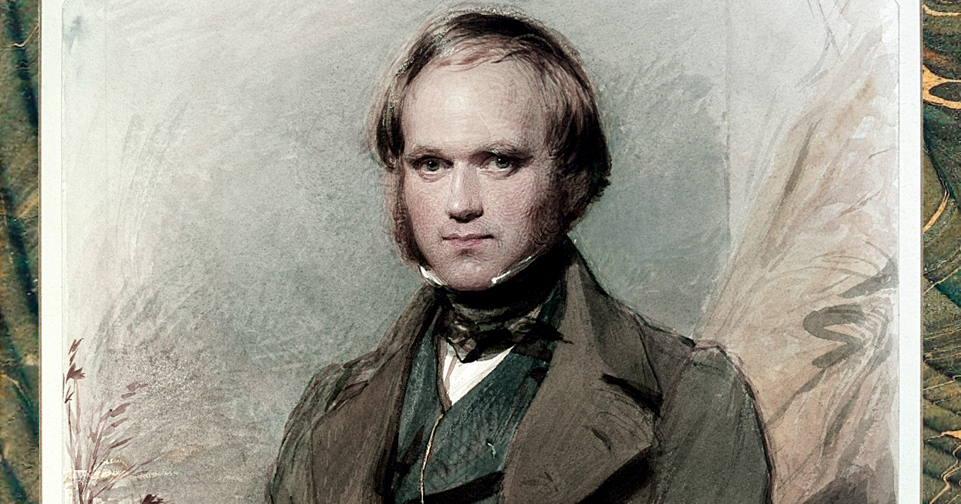 🌳 ¿La Naturaleza es más Sagrada que Tú, Hombre?