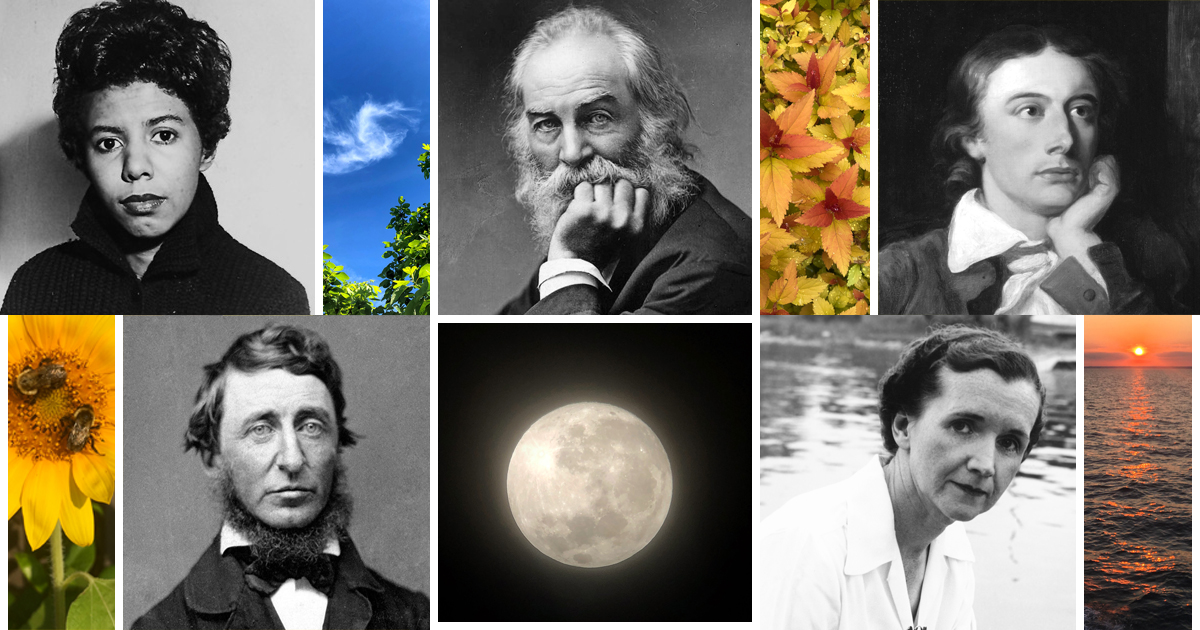 🌿 ¿Deprimido? ¡Huele a naturaleza, hermano!