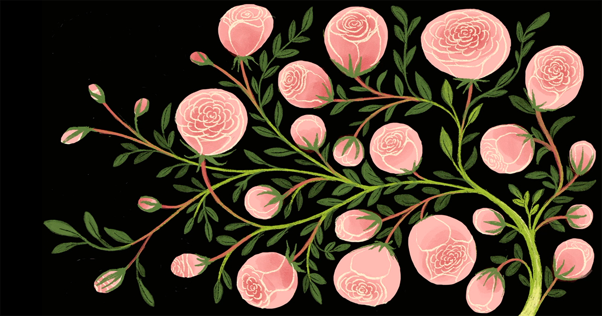 🚩 ¿Deseas ser un héroe digital o solo un víctima de spam?<...