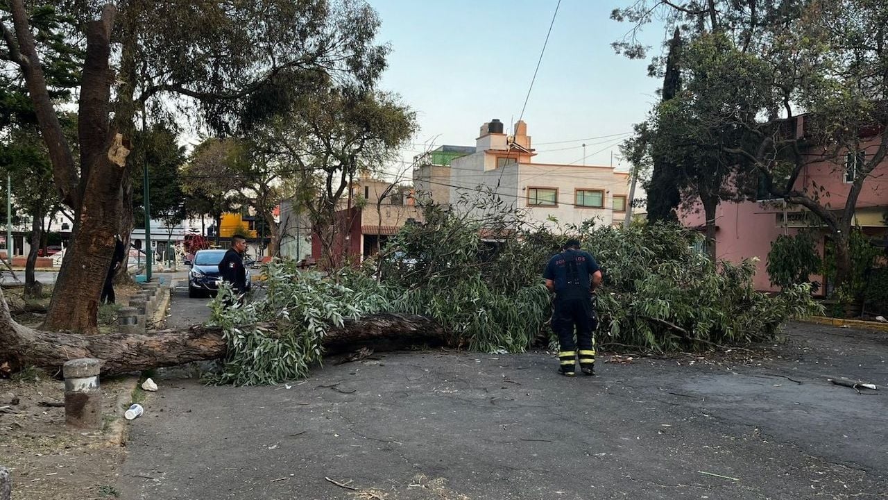 🌪️ ¿Vas a poder ir al parque mañana en la CDMX?