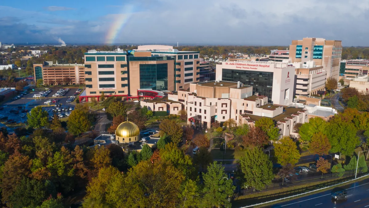 ¡Esto es oro! 🚩 ¿Qué pasa con el corazón cuando se muere? ...