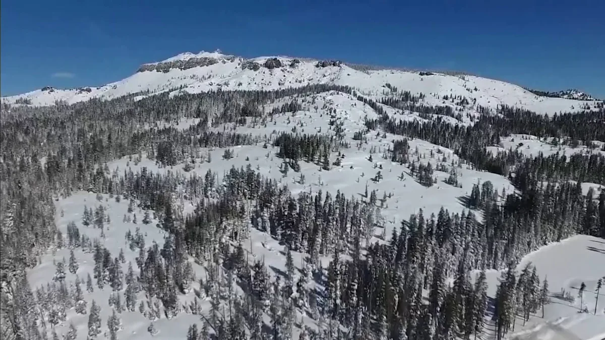 😎 ¿Esquí o es una broma? Familiares de las víctimas de avalanc...