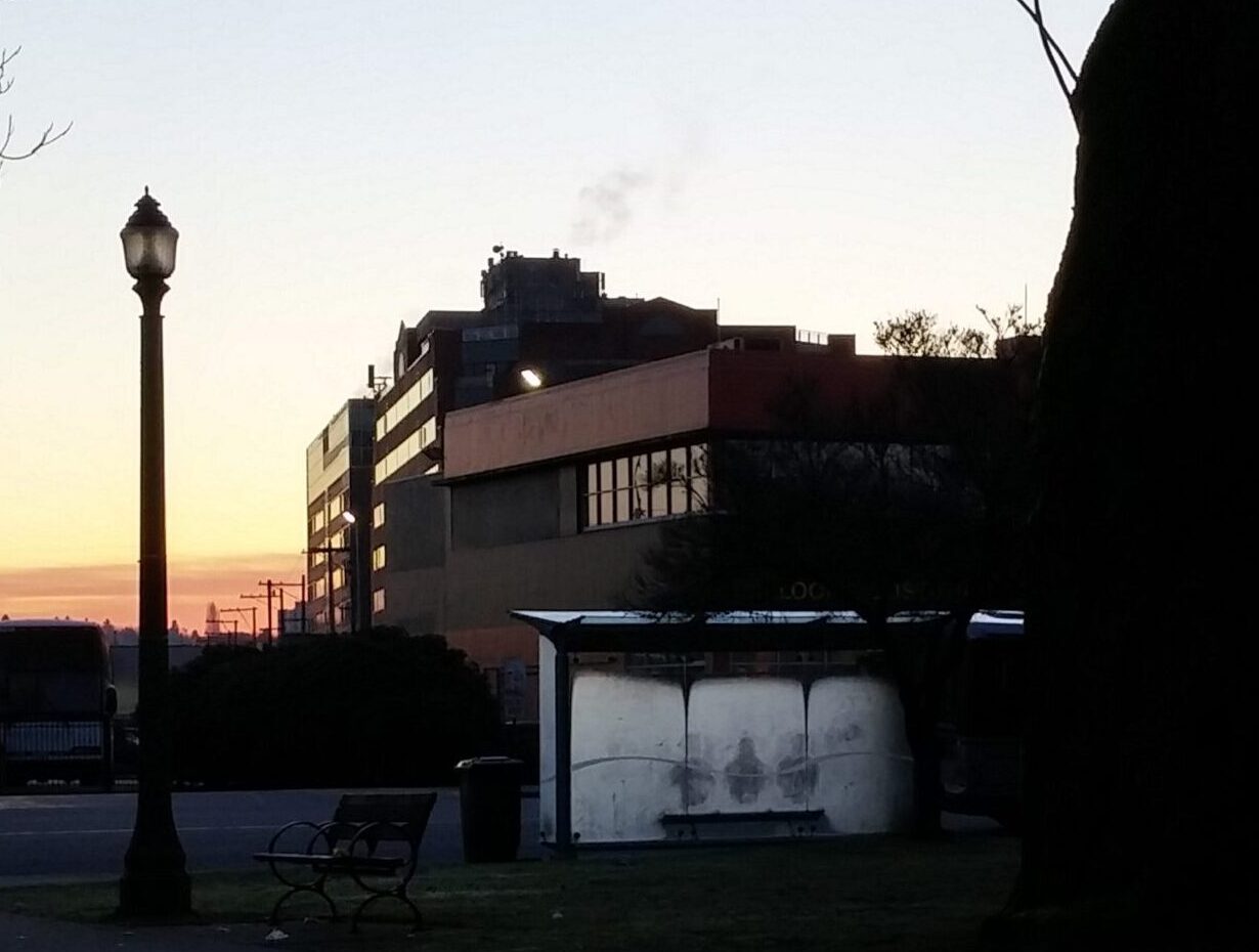 🌆 ¿De qué lado de la muerte está tu ciudad?