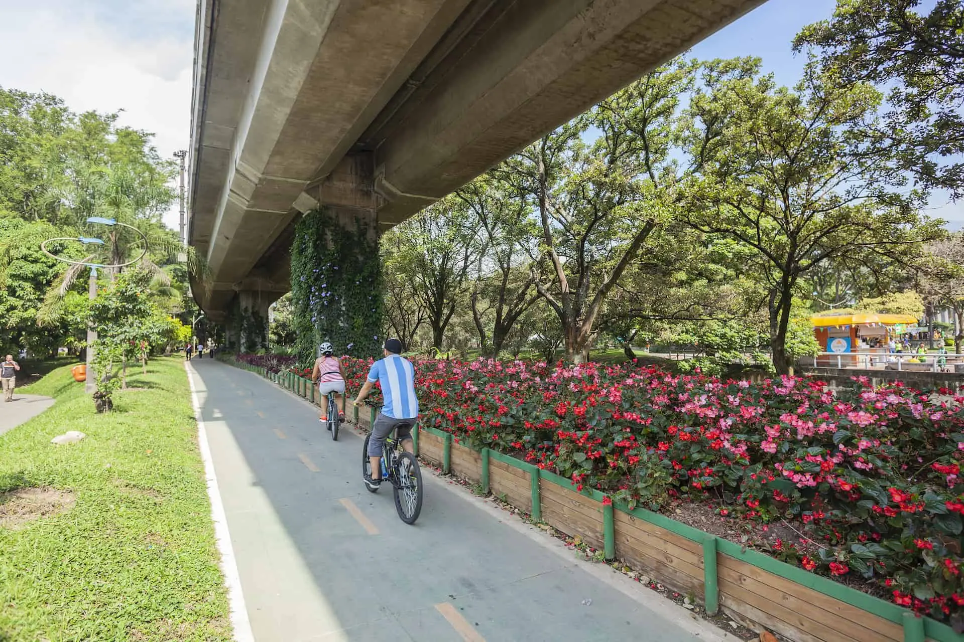 🌳 ¿Bogotá se está reciclando la corrupción con soluciones ambi...