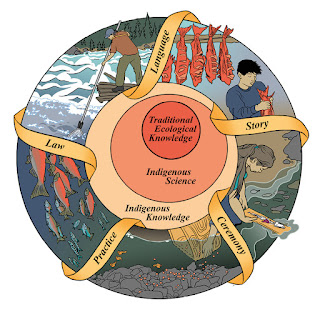 ¡No te dejes engañar! 🚩 El caso Thomas Wells y la ciberseg...