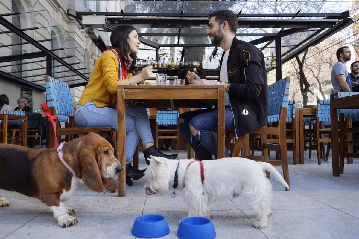 ¿Puedes tener mascota y vida social en el mismo barrio? 🐶🍻
