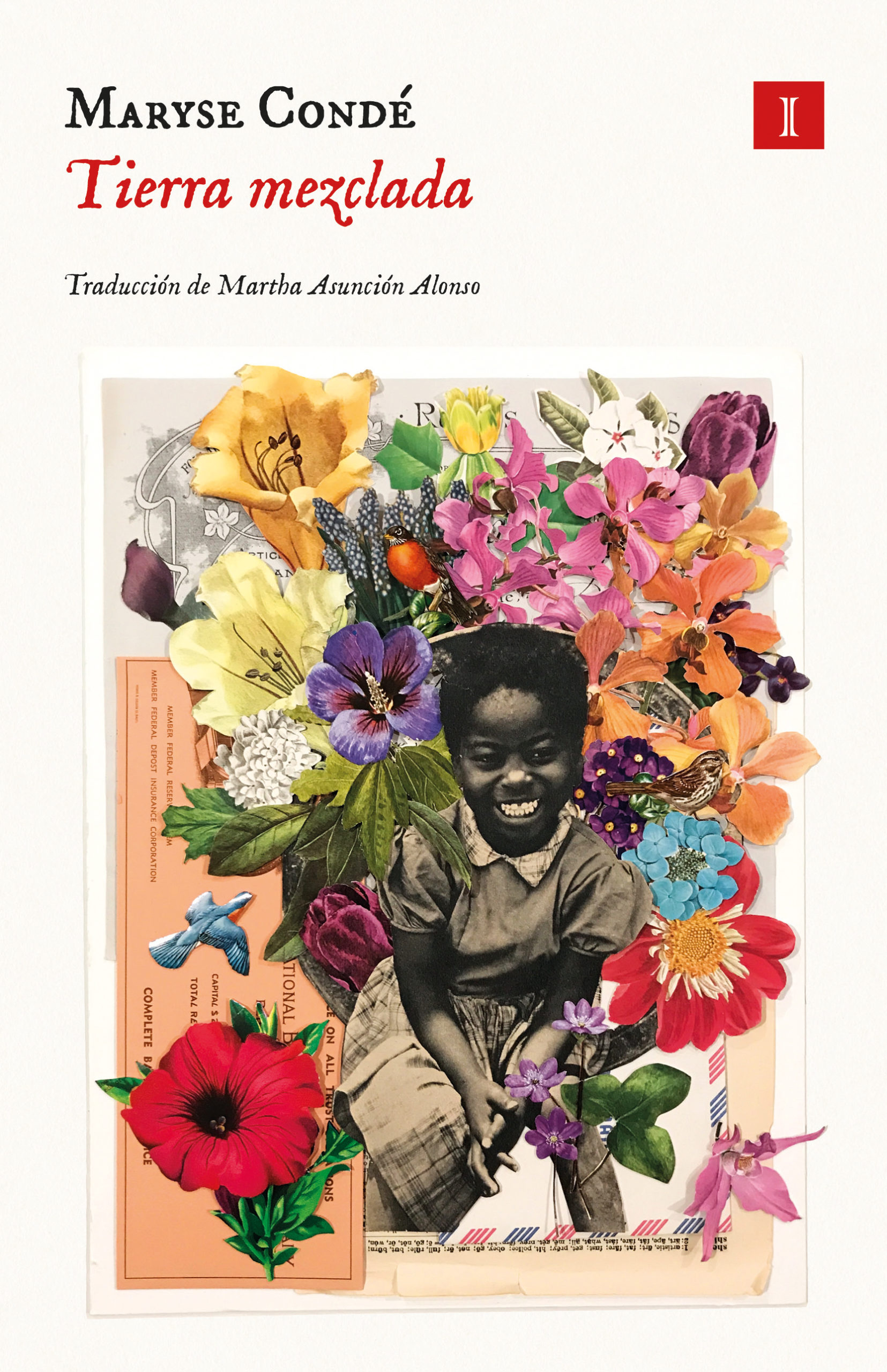 ¿La Tierra es Solo una Madre Abuela con Problemas de Estima? 🌎