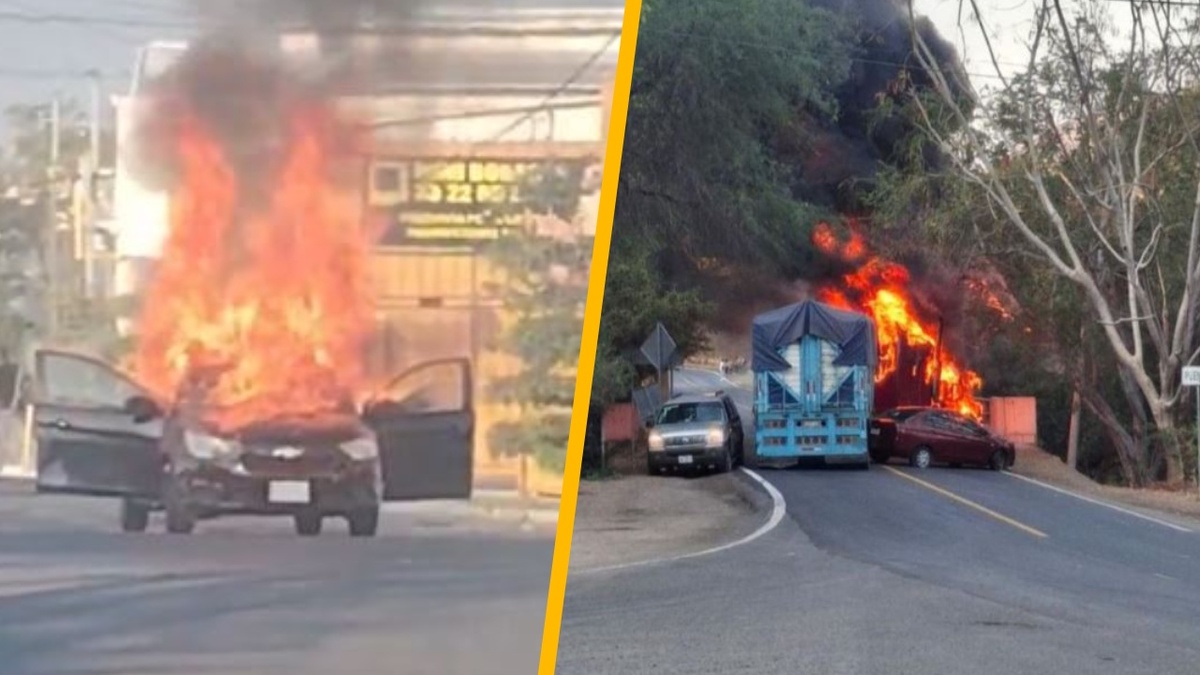 🚨 ¡Jalisco, ¿Estás Listo para el Mundial o Solo Finges?!