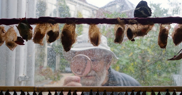 🤯 La Medida de Vivir o Morir de Risa: ¿Dónde Está la Dignidad?