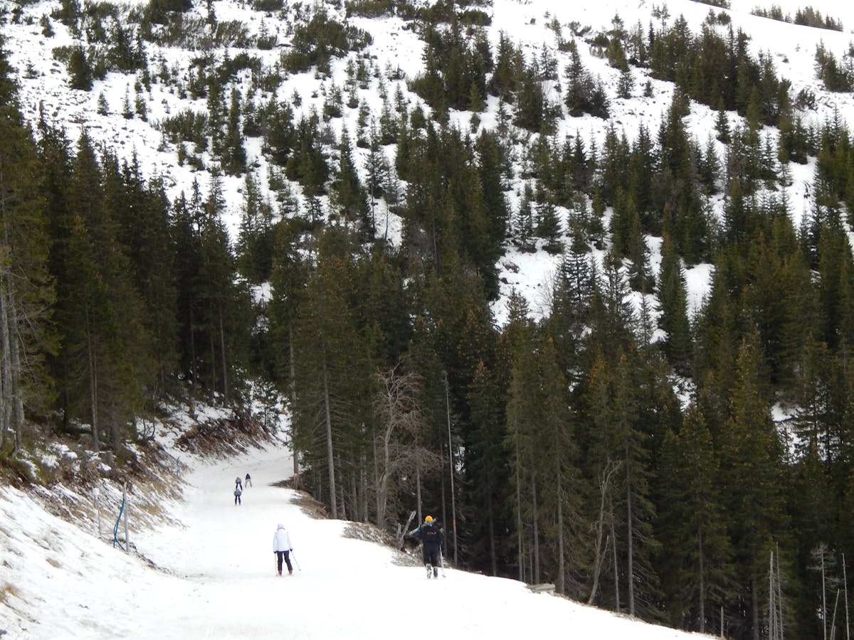 Esto es oro o una Receta de Ciberseguridad para Cochinilla...