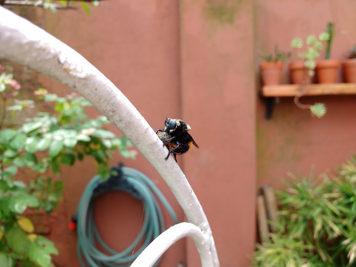 ¿Oriente Medio se Calienta? Investir en Fondos Es un Juego...