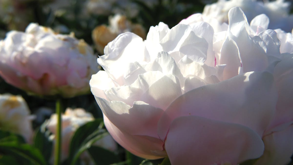 ¿Buenos Aires Bajo Agua?: ¡Llueve por primera vez en marzo 202...