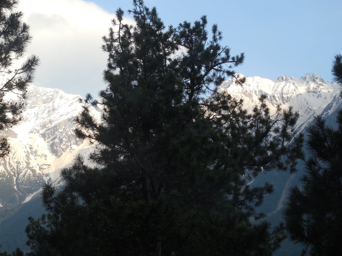 ¿Las enfermedades raras son lo nuevo? 🤯