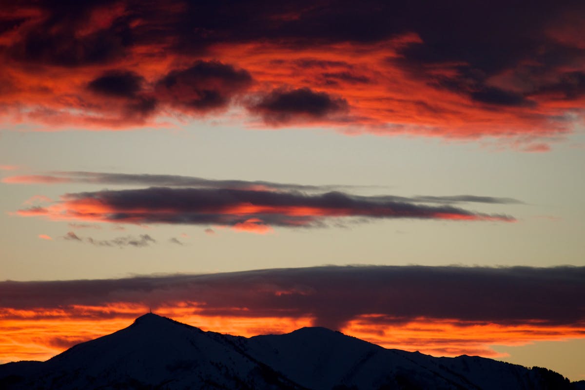 ¡Wild Geese: ¿Eres un Exiliado o Un Emigrante? 🌄