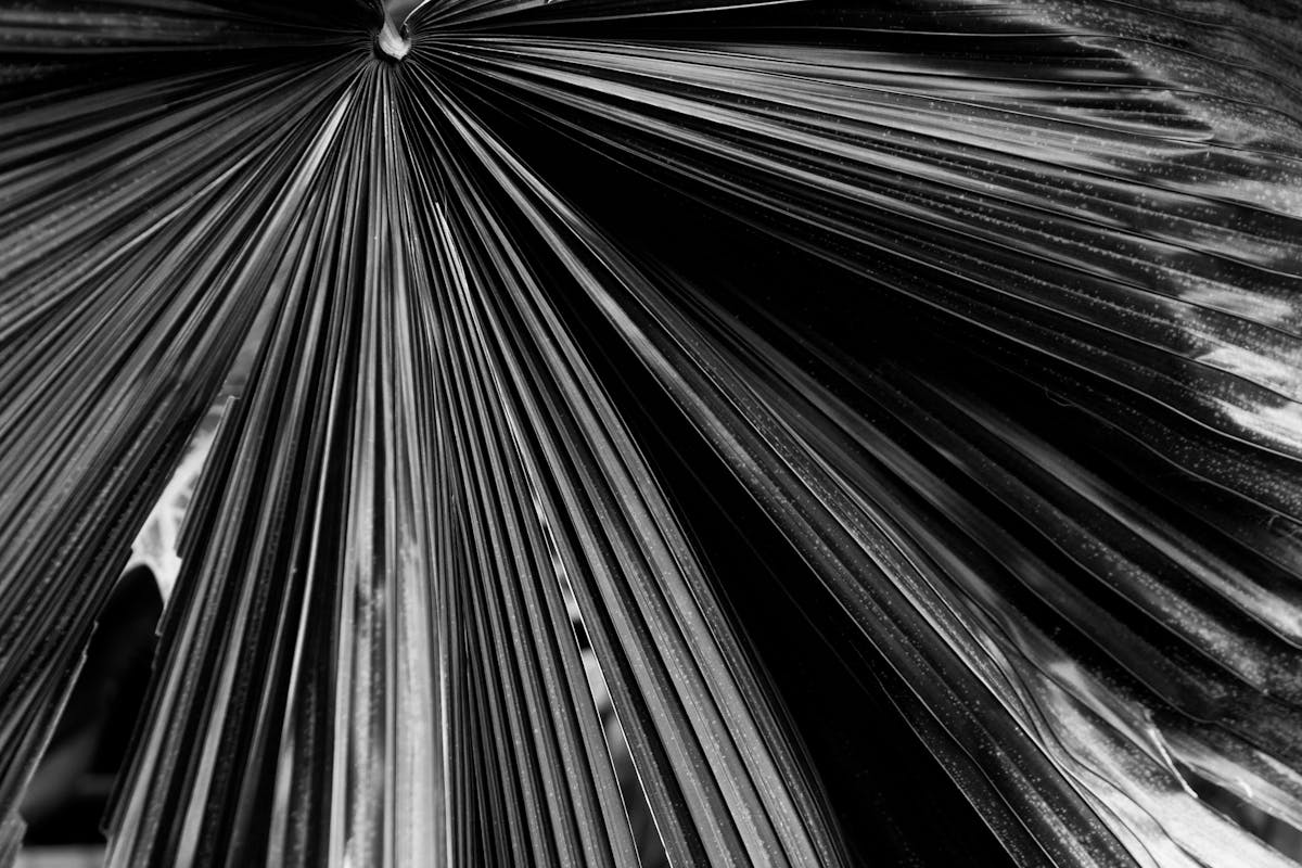 🏆 ¿Conoció a un tipo que ganó oro en Tokio? La verdad sobre Al...