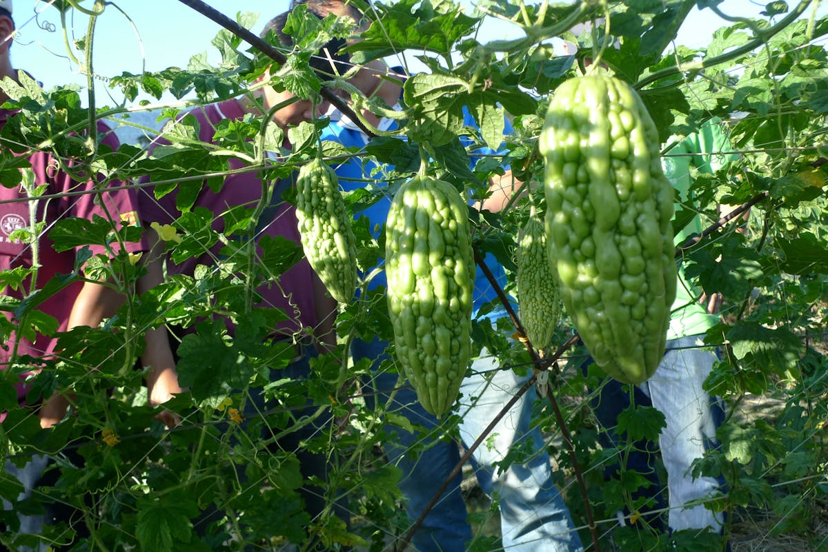 😱 ¿La Iglesia Católica de Fall River Se Entera de la Crisis de...