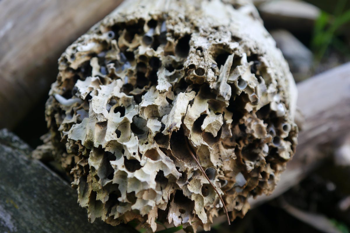 🌪️ ¿Tú crees que hay tormentas de verdad o solo es la vida en ...