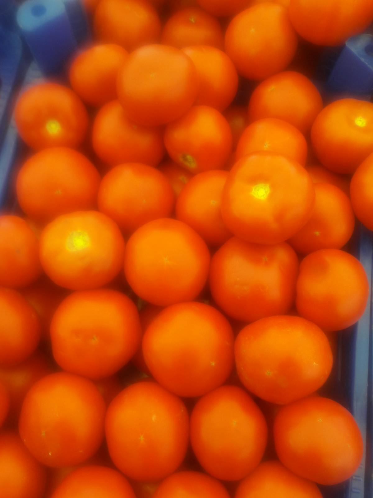 📨 ¿Eres un Fanático de la Gracia si solo le escribes una carta...